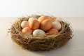 Dozen Eggs