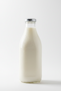 Milk (1/2 gallon)