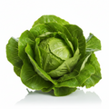 Lettuce (Head)
