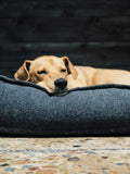Orthopedic Dog Bed